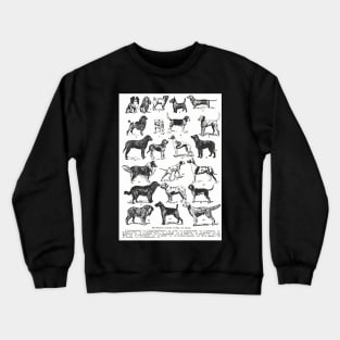 TYPES OF DOGS VETERINARY ILUSTRATION Crewneck Sweatshirt